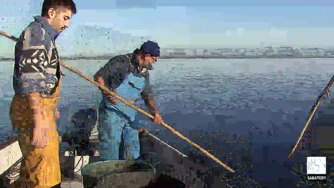 2016 - Marseillan - Pêche À L'anguille