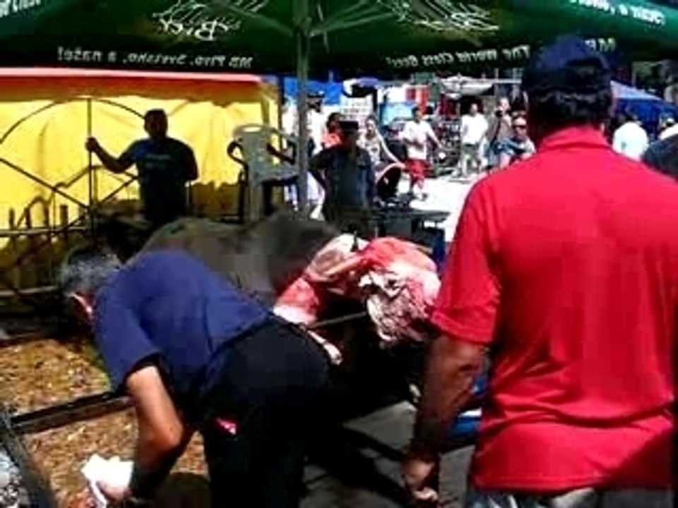 Vache rôtie