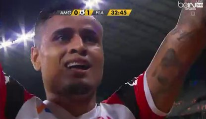 Everton Golaazooo , Goal - América MG 0-1 Flamengo - (16/11/2016)
