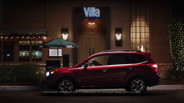 Best Subaru Dealer Palm Beach FL | Subaru Dealer Near Palm Beach FL