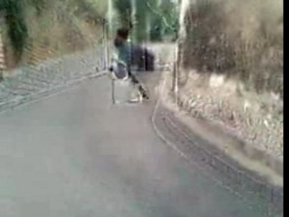 desente en poubele
