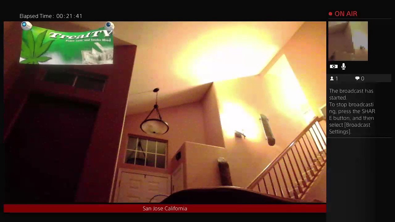 RealTrealTV (92)