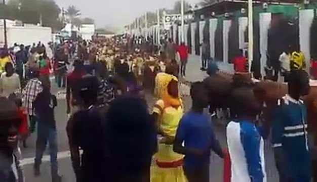 Magal, Regardez l’arrivée des bœufs de Cheikh Boeuf