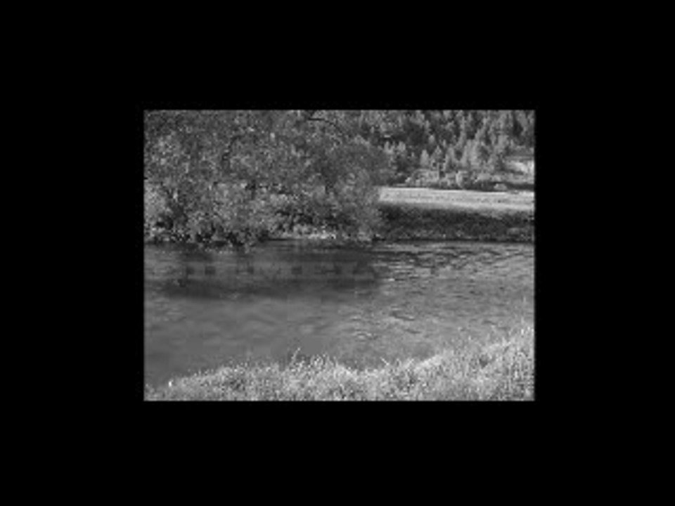 The undead (dailymotion)