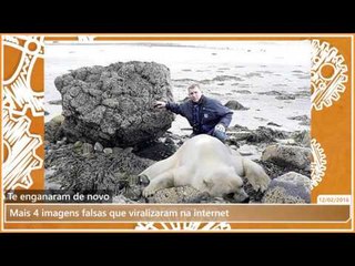 Mais 4 imagens falsas que viralizaram na internet