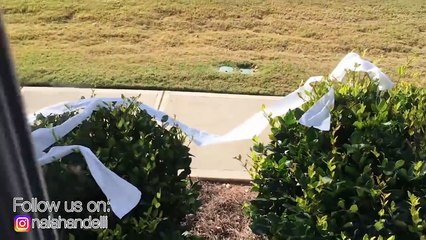 Bad Baby Halloween Prank Gone Wrong  part2