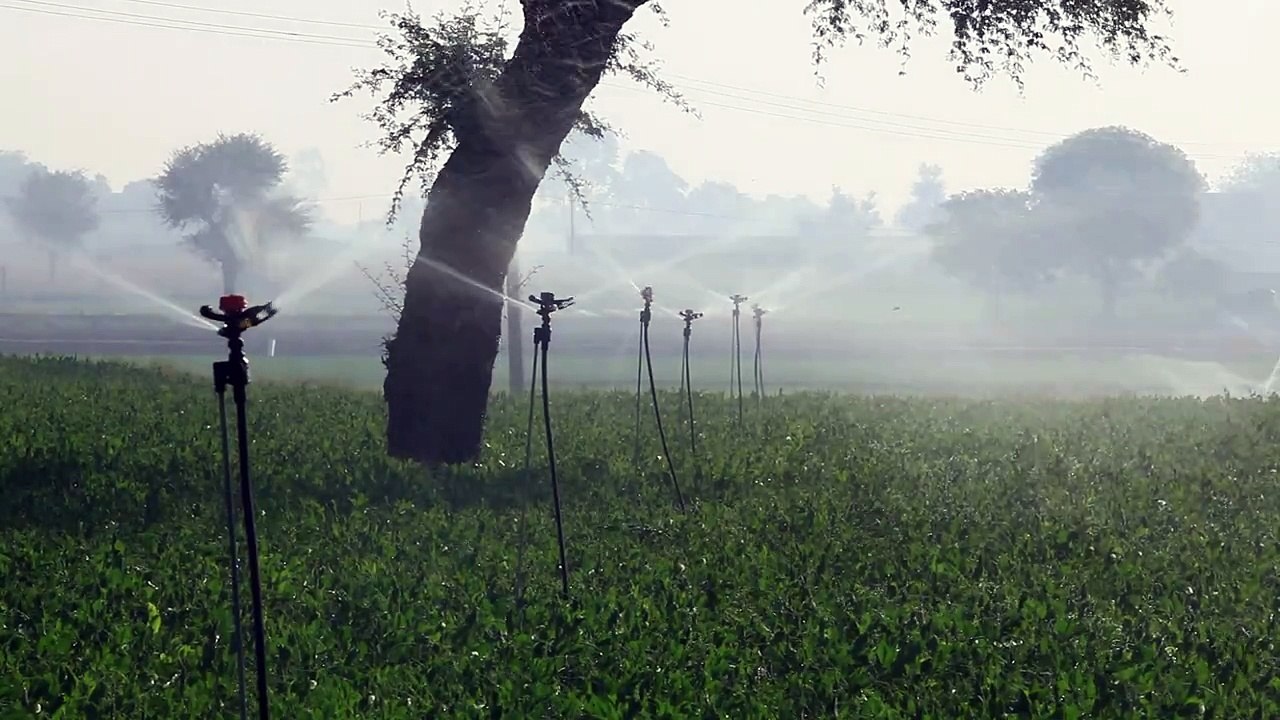 Mini Sprinklers