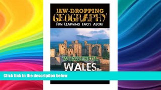 Best Buy Deals  Jaw-Dropping Geography: Fun Learning Facts About Wonderful Wales: Illustrated Fun