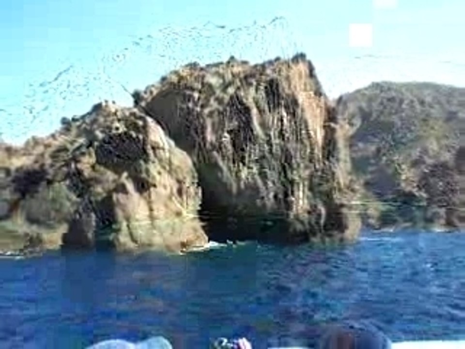 Les Calanques de Piana en Mer - CORSE