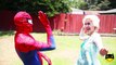 Spiderman ARRESTS Spiderman?! Frozen Elsa vs Maleficent Joker Princess Anna Toys! Superheroes IRL