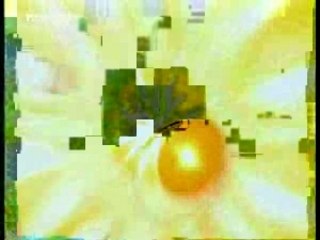 La carte aux trésors 1/3