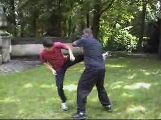 www.wingtsun-france.fr - techniques de Jambes