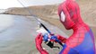 Spiderman Vs Hulk - Spiderman Fishing Toys - Fun Superhero Movie in Real Life