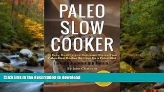 READ BOOK  Paleo Slow Cooker: 75 Easy, Healthy, and Delicious Gluten-Free Paleo Slow Cooker