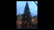 Le sapin de Noël est arrivé sur la Grand-Place de Bruxelles (VIDEO)