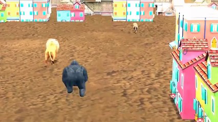 Color Song | Gorilla Rhymes For Children | Colours Song | Gorilla Nursery Rhymes | Lion For Kids