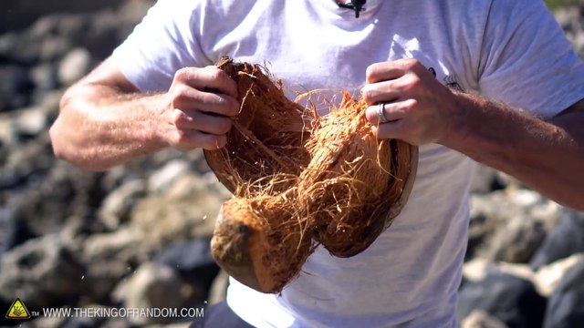 Comment ouvrir des noix de coco sans outils... Facile !