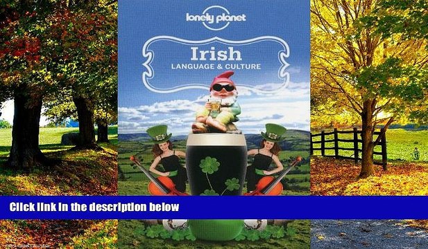 Best Buy Deals Irish Language Culture (Lonely Planet Language Culture: Irish) BOOOK ONLINE