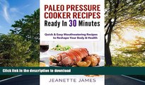 READ BOOK  Paleo Pressure Cooker Recipes Ready in 30 Minutes: Quick   Easy Mouthwatering Recipes