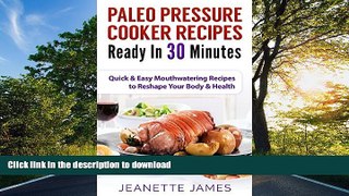 READ BOOK  Paleo Pressure Cooker Recipes Ready in 30 Minutes: Quick   Easy Mouthwatering Recipes