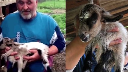 10 Most Shocking Animal Mutations