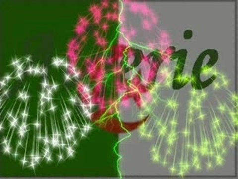 Cheb Khalass - Algerie mon amours