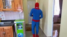 Spiderman Vs Batman never ending fight | Spiederman baby PJ Masks captain america | Magic Real Life