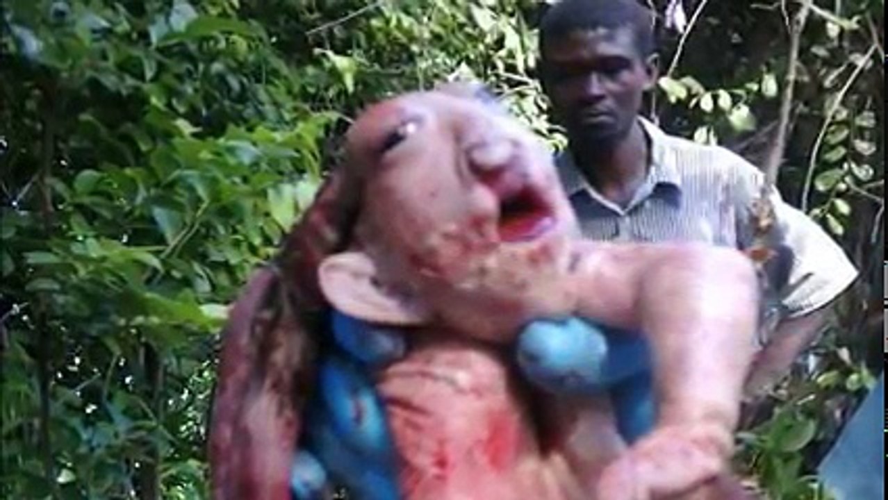 Strange creature found in Brazil