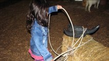 Petting ZOO at the Farm Feeding Horses and Goats Learn Animal Names for Kids part4