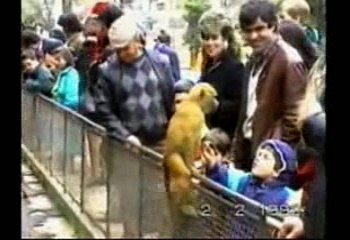 funny video funny clips funny people 2016