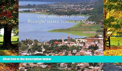 Best Buy Deals  One Hundred and One Beautiful Small Towns in Mexico  BOOOK ONLINE