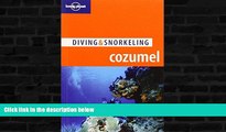 Best Buy Deals  Lonely Planet Diving   Snorkeling Cozumel (Lonely Planet Diving and Snorkeling
