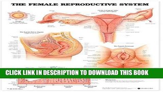 [PDF] The Female Reproductive System Anatomical Chart Popular Collection