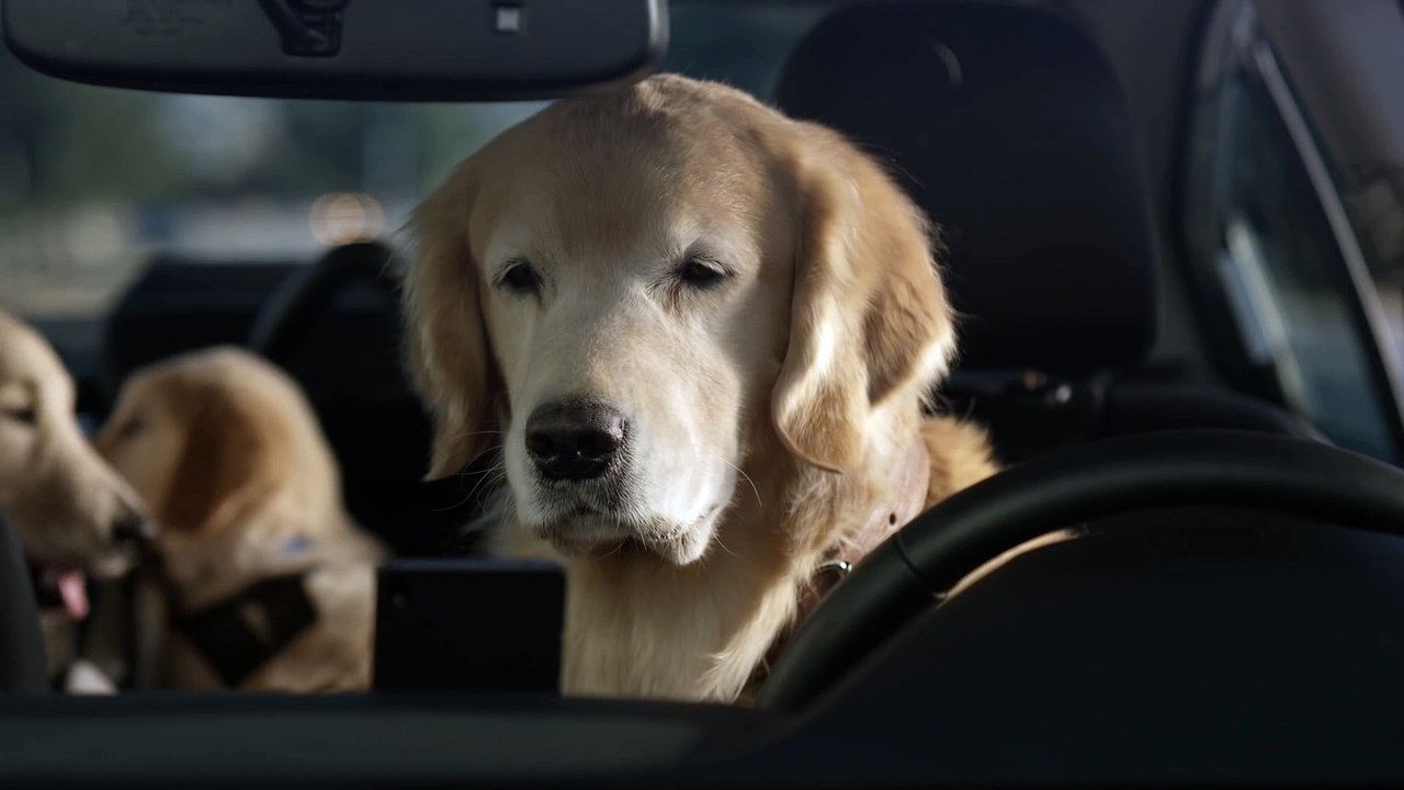 Subaru Dog Tested - Subaru Commercial PART 2