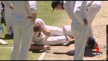 Adam Voges Hit by Cricket Ball in Sheffield Shield match at the WACA
