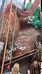 Surprise for Russian Fishermen