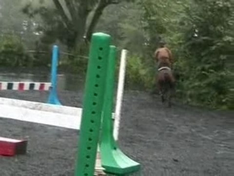 Ponette new forest à l'obstacle