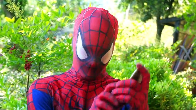 Olaf Is Kidnapped By Joker! W Spiderman & Frozen Elsa & Bubble Gum Challenge! Funny Superheroes