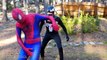 New Spiderman vs Venom in Real Life - Frozen Elsa saves Kidnapped Spiderman - Superheroes Fun Movie