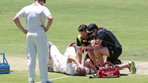 Adam Voges has been hit in the head by a bouncer at the WACA