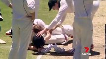 Adam Voges hit in the head by bouncer in Sheffield Shield match