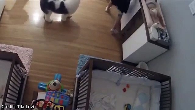 A 9 ans, il sauve in extremis son petit frère qui chute d'une table à langer