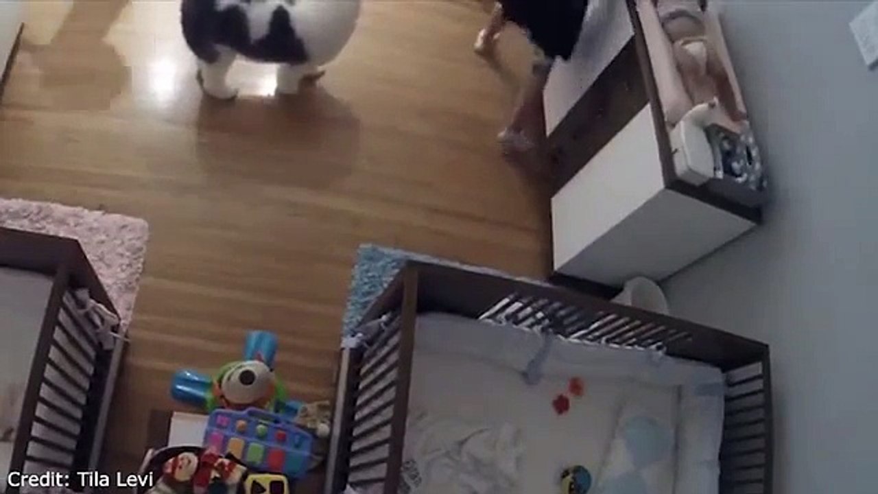 A 9 ans, il sauve in extremis son petit frère qui chute d'une table à langer