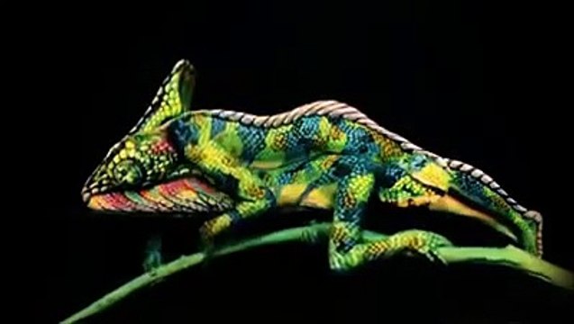 Amazing Body Paint art !