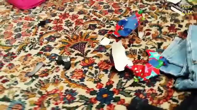 Dog combines disaster. Here is her response