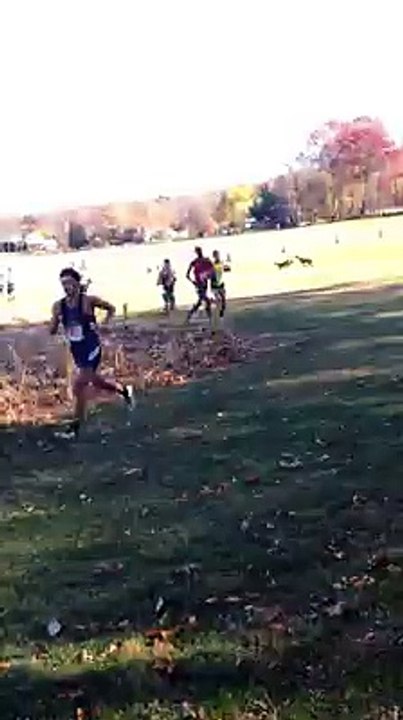 Chevreuil vs Coureur de cross-country