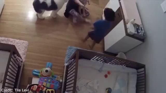 Cet enfant sauve son petit frère qui va chuter de la table à langer... Héro du jour