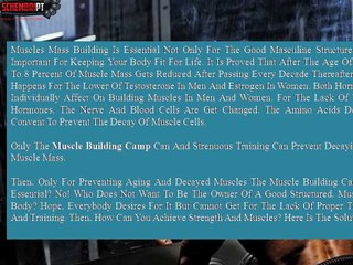 The Secrets to Increase Strength in Muscle Building Camp