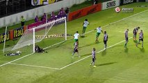 Melhores Momentos - Gols de Botafogo 0x2 Chapecoense - Campeonato Brasileiro (16-11-2016)