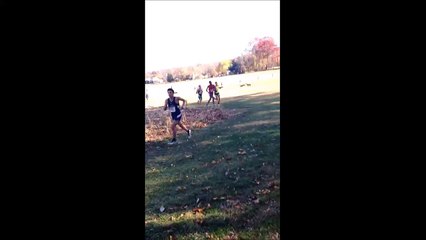 Ce coureur de Cross est assommé par une biche !